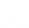 Lotus Indian Dance Centre
